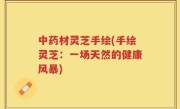 中药材灵芝手绘(手绘灵芝：一场天然的健康风暴)