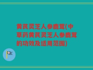 黄芪灵芝人参鹿茸(中草药黄芪灵芝人参鹿茸的功效及适用范围)