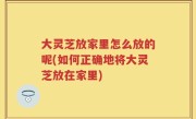 大灵芝放家里怎么放的呢(如何正确地将大灵芝放在家里)