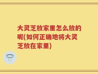 大灵芝放家里怎么放的呢(如何正确地将大灵芝放在家里)