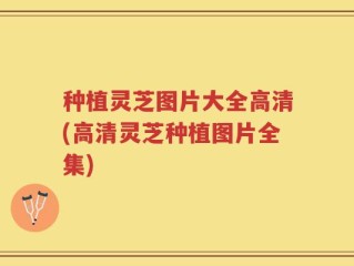 种植灵芝图片大全高清(高清灵芝种植图片全集)