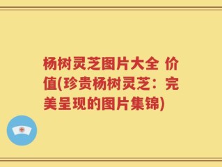 杨树灵芝图片大全 价值(珍贵杨树灵芝：完美呈现的图片集锦)