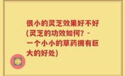 很小的灵芝效果好不好(灵芝的功效如何？-一个小小的草药拥有巨大的好处)