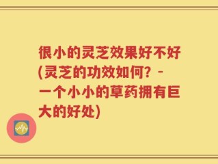 很小的灵芝效果好不好(灵芝的功效如何？-一个小小的草药拥有巨大的好处)