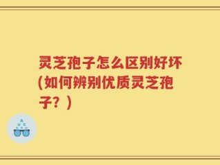灵芝孢子怎么区别好坏(如何辨别优质灵芝孢子？)