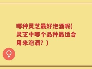 哪种灵芝最好泡酒呢(灵芝中哪个品种最适合用来泡酒？)