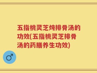 五指桃灵芝炖排骨汤的功效(五指桃灵芝排骨汤的药膳养生功效)