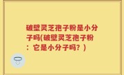 破壁灵芝孢子粉是小分子吗(破壁灵芝孢子粉：它是小分子吗？)