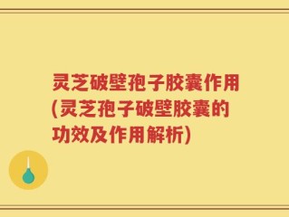 灵芝破壁孢子胶囊作用(灵芝孢子破壁胶囊的功效及作用解析)