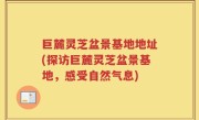 巨麓灵芝盆景基地地址(探访巨麓灵芝盆景基地，感受自然气息)