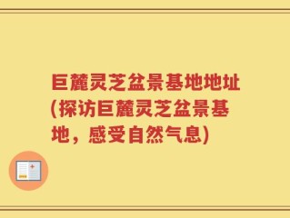 巨麓灵芝盆景基地地址(探访巨麓灵芝盆景基地，感受自然气息)