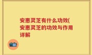 安惠灵芝有什么功效(安惠灵芝的功效与作用详解