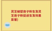 灵芝破壁孢子粉生发灵芝孢子粉促进生发效果显著)