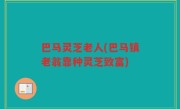 巴马灵芝老人(巴马镇老翁靠种灵芝致富)