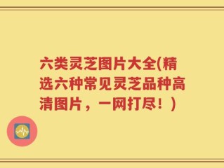 六类灵芝图片大全(精选六种常见灵芝品种高清图片，一网打尽！)