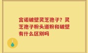 宫诺破壁灵芝孢子？灵芝孢子粉头道粉和破壁有什么区别吗