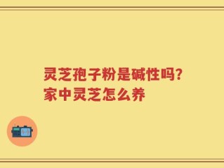 灵芝孢子粉是碱性吗？家中灵芝怎么养