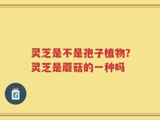 灵芝是不是孢子植物？灵芝是蘑菇的一种吗