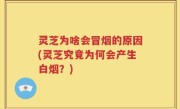 灵芝为啥会冒烟的原因(灵芝究竟为何会产生白烟？)