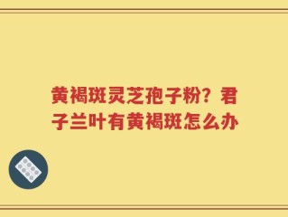 黄褐斑灵芝孢子粉？君子兰叶有黄褐斑怎么办