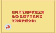 捡树灵芝视频教程全集免费(免费学习捡树灵芝视频教程全套)