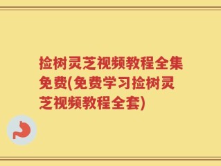 捡树灵芝视频教程全集免费(免费学习捡树灵芝视频教程全套)