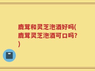 鹿茸和灵芝泡酒好吗(鹿茸灵芝泡酒可口吗？)