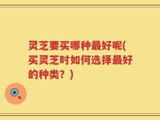 灵芝要买哪种最好呢(买灵芝时如何选择最好的种类？)