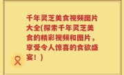 千年灵芝美食视频图片大全(探索千年灵芝美食的精彩视频和图片，享受令人惊喜的食欲盛宴！)