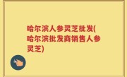 哈尔滨人参灵芝批发(哈尔滨批发商销售人参灵芝)