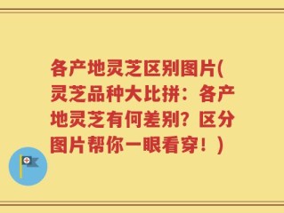 各产地灵芝区别图片(灵芝品种大比拼：各产地灵芝有何差别？区分图片帮你一眼看穿！)