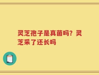 灵芝孢子是真菌吗？灵芝采了还长吗