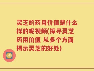灵芝的药用价值是什么样的呢视频(探寻灵芝药用价值 从多个方面揭示灵芝的好处)