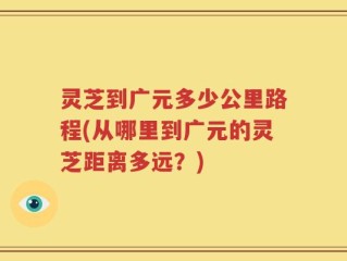 灵芝到广元多少公里路程(从哪里到广元的灵芝距离多远？)