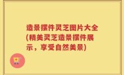 造景摆件灵芝图片大全(精美灵芝造景摆件展示，享受自然美景)