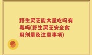 野生灵芝能大量吃吗有毒吗(野生灵芝安全食用剂量及注意事项)
