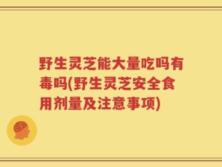 野生灵芝能大量吃吗有毒吗(野生灵芝安全食用剂量及注意事项)