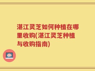 湛江灵芝如何种植在哪里收购(湛江灵芝种植与收购指南)