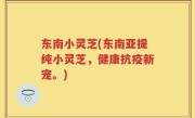 东南小灵芝(东南亚提纯小灵芝，健康抗疫新宠。)