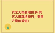 灵芝大田栽培技术(灵芝大田栽培技巧：提高产量的关键)