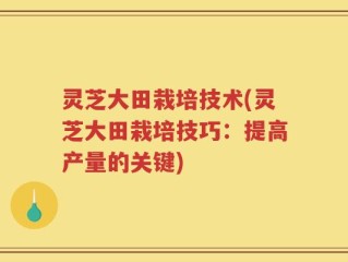 灵芝大田栽培技术(灵芝大田栽培技巧：提高产量的关键)