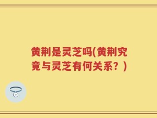 黄荆是灵芝吗(黄荆究竟与灵芝有何关系？)
