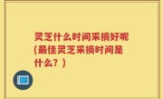 灵芝什么时间采摘好呢(最佳灵芝采摘时间是什么？)
