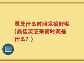 灵芝什么时间采摘好呢(最佳灵芝采摘时间是什么？)