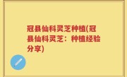 冠县仙科灵芝种植(冠县仙科灵芝：种植经验分享)