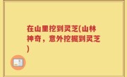 在山里挖到灵芝(山林神奇，意外挖掘到灵芝)