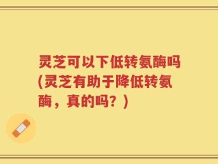 灵芝可以下低转氨酶吗(灵芝有助于降低转氨酶，真的吗？)