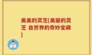 美美的灵芝(美丽的灵芝 自然界的奇妙宝藏)