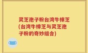 灵芝孢子粉台湾牛樟芝(台湾牛樟芝与灵芝孢子粉的奇妙组合)