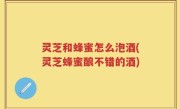 灵芝和蜂蜜怎么泡酒(灵芝蜂蜜酿不错的酒)